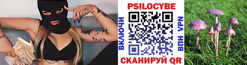 Галлюциногенные грибы прущие грибы  Купить закладки  Отрадное 